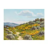 David Chapple, Poppy and Sage, oil on artist board