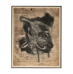 Johnny Friedlaender, Oiseaux, etching