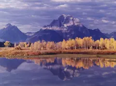 Thomas D Mangelsen, Mount Moran and Oxbow Bend, limited-edition photographic print