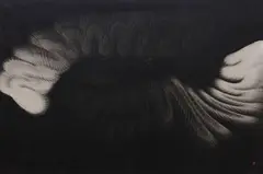 An Furuta, White Feather on Black Ground, oil on canvas
