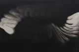 An Furuta, White Feather on Black Ground, oil on canvas