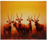 Robert Stivers, Oryx, Photographic print mounted on plexiglass