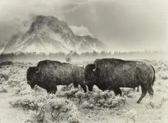 Neal Parent, Memorial Day Storm, photographic print on paper