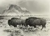 Neal Parent, Memorial Day Storm, photographic print on paper
