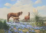 Gary Lynn Roberts, Horses in Bluebonnets, oil on canvas