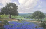 Cal Gaspard, Texas Hill Country Bluebonnets, oil on canvas