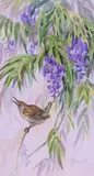 Anita Diebel, Wren in the Wisteria, watercolor painting on paper