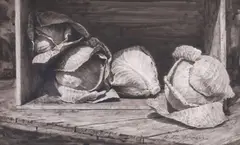 Scott Fraser, Cabbages, ink painting on paper