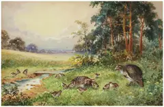 Joseph Halford Ross, Family of Partridges in Wooded Landscape, watercolor on paper