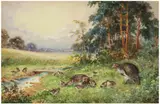 Joseph Halford Ross, Family of Partridges in Wooded Landscape, watercolor on paper