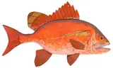 Jim Griffith, Red Snapper, Folk art carved and polychrome-painted wood fish sculpture