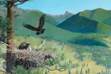 Peter Kola, Eagle's Nest, 2013, oil on canvas