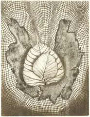 Aryeh Rothman, Composition with Leaves, aquatint on paper