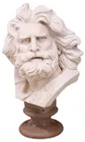 François Rude, Head of a Gaul, Large carved marble bust