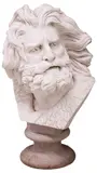 François Rude, Head of a Gaul, Large carved marble bust
