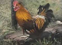 Rick Morris Patterson, Bantee Rooster, oil painting on Masonite