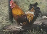 Rick Morris Patterson, Bantee Rooster, oil painting on Masonite
