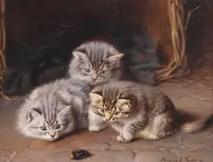Horatio Henry Couldery, Curiosity Stung the Cat, oil on canvas