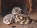 Horatio Henry Couldery, Curiosity Stung the Cat, oil on canvas