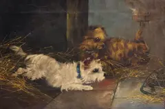 George Smith Armfield, Two Puppies and a Caged Mouse, oil on canvas