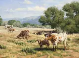 Brian Grimm, The Lounge, oil painting on board