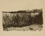 Herbert Lewis Fink, The Salt Marsh, etching on paper