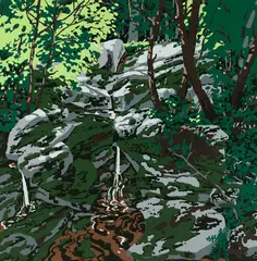 Neil Welliver, Raymond's Stream, 1973, Silkscreen
