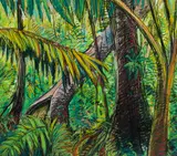 Elena Jahn, Fern & Spruce Monhegan, Oil pastel on paper