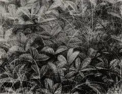 Brett Bigbee, Ground Cover, 1997, Lithograph
