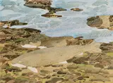 Neil Welliver, Two Trout and Reflections, 1994, Watercolor on paper
