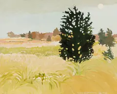 Nancy Wisseman-Widrig, Cedar in the Rain, 1976, Oil and acrylic on canvas