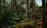 F. Ronald Fowler, Spring Ferns, Oil on board