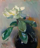 George Loftus Noyes, Magnolia Blossom