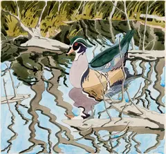 Neil Welliver, Wood Duck, 1984, Hand-colored etching