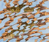 Neil Welliver, Two Trouts & Reflections, 1994, Hand-colored etching