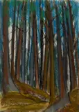 Sarah McPherson, Monhegan Woods, Pastel on paper