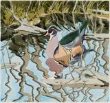 Neil Welliver, Wood Duck, 1984, Hand colored etching