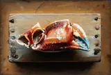 John Whalley, Lobster Claw, 2004, Oil on panel