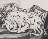 Dahlov Ipcar, Two Dalmatians