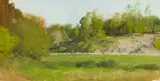 Ann Lofquist, Spring Color with Marsh and Stones, Oil on panel