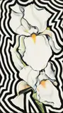 Lowell Blair Nesbitt, "Two White Electric Iris" New York, 1980, Oil on canvas
