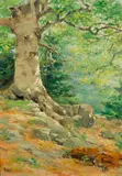 John Calvin Stevens, Birch, 1903, Oil on canvas