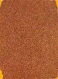 Frederick Lynch, Division 30, 2002, Oil on canvas laid to panel