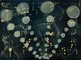 Katherine Bradford, Lights