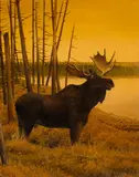 John Felsing, Bull Moose with Orange Sky, Oil on canvas