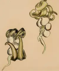 William Muir, Jewel Weed (Sculpture Study), Pastel on paper