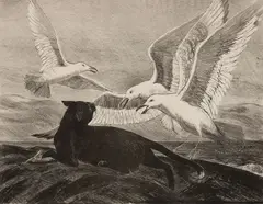Gifford Beal, Cat and Seagulls, Lithograph