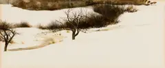 Thomas Crotty, Winter Rain, Watercolor on paper
