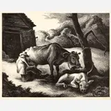 Thomas Hart Benton, White Calf, 1945, Lithograph on paper