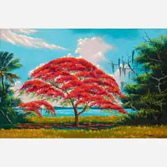 Mary Ann Carroll, Royal Poinciana, Oil